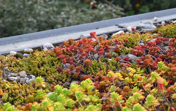 the cost of Great Bircham green roof installation