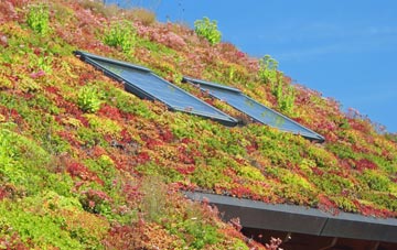 Great Bircham living roof systems